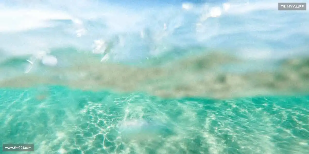 狗万·(中国区)有限公司官网🥅守卫球门，用信念筑起不可破的防线！