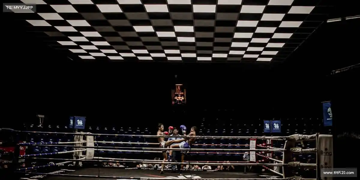 为什么选择我们